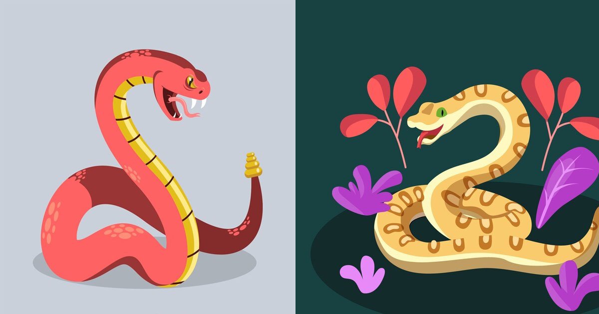 Snake