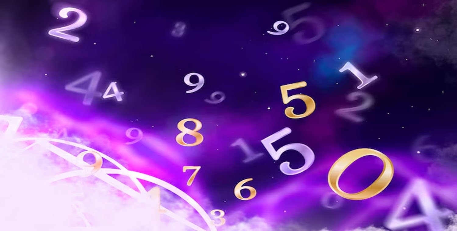 8559170291